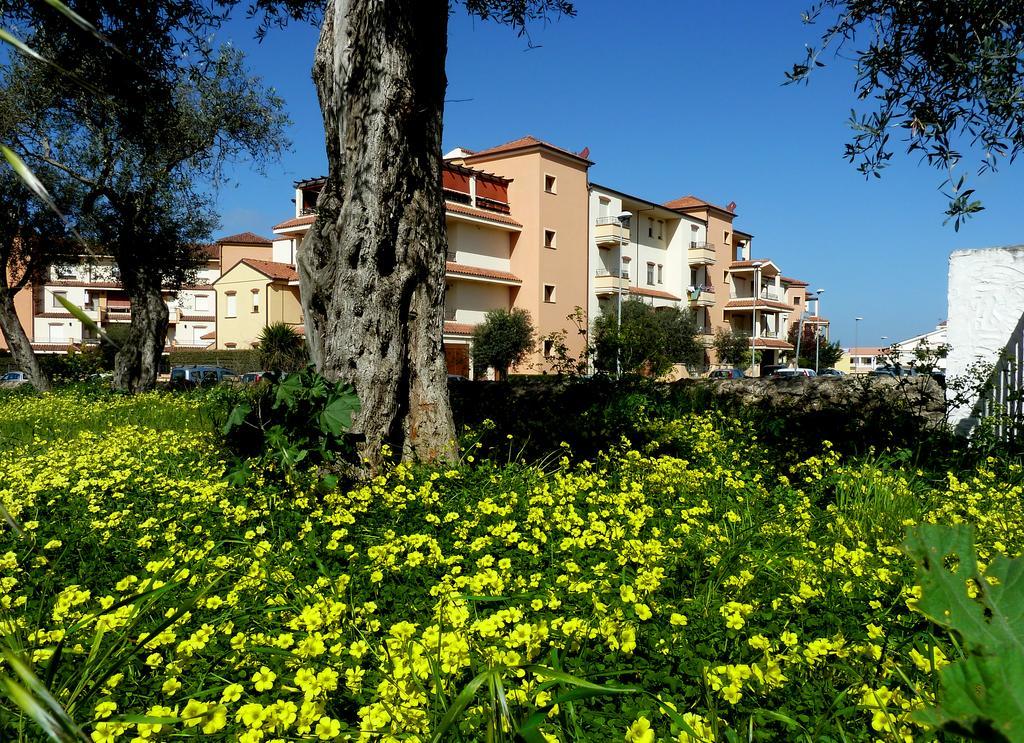 Borgo Degli Ulivi Daire Alghero Dış mekan fotoğraf