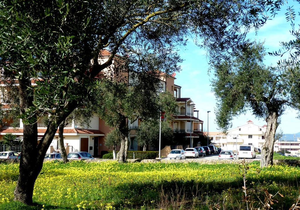 Borgo Degli Ulivi Daire Alghero Dış mekan fotoğraf